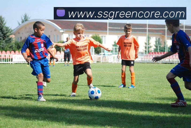 核心证书